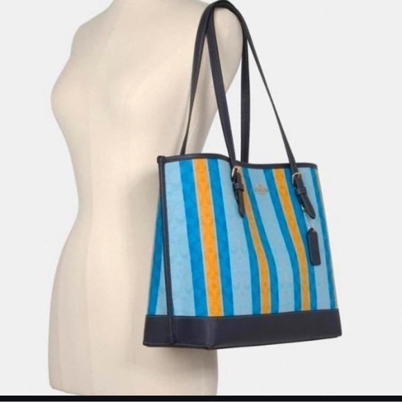 Coach Striped Tote Bag – Signature Canvas & Leather Trim - Picture 1 of 14